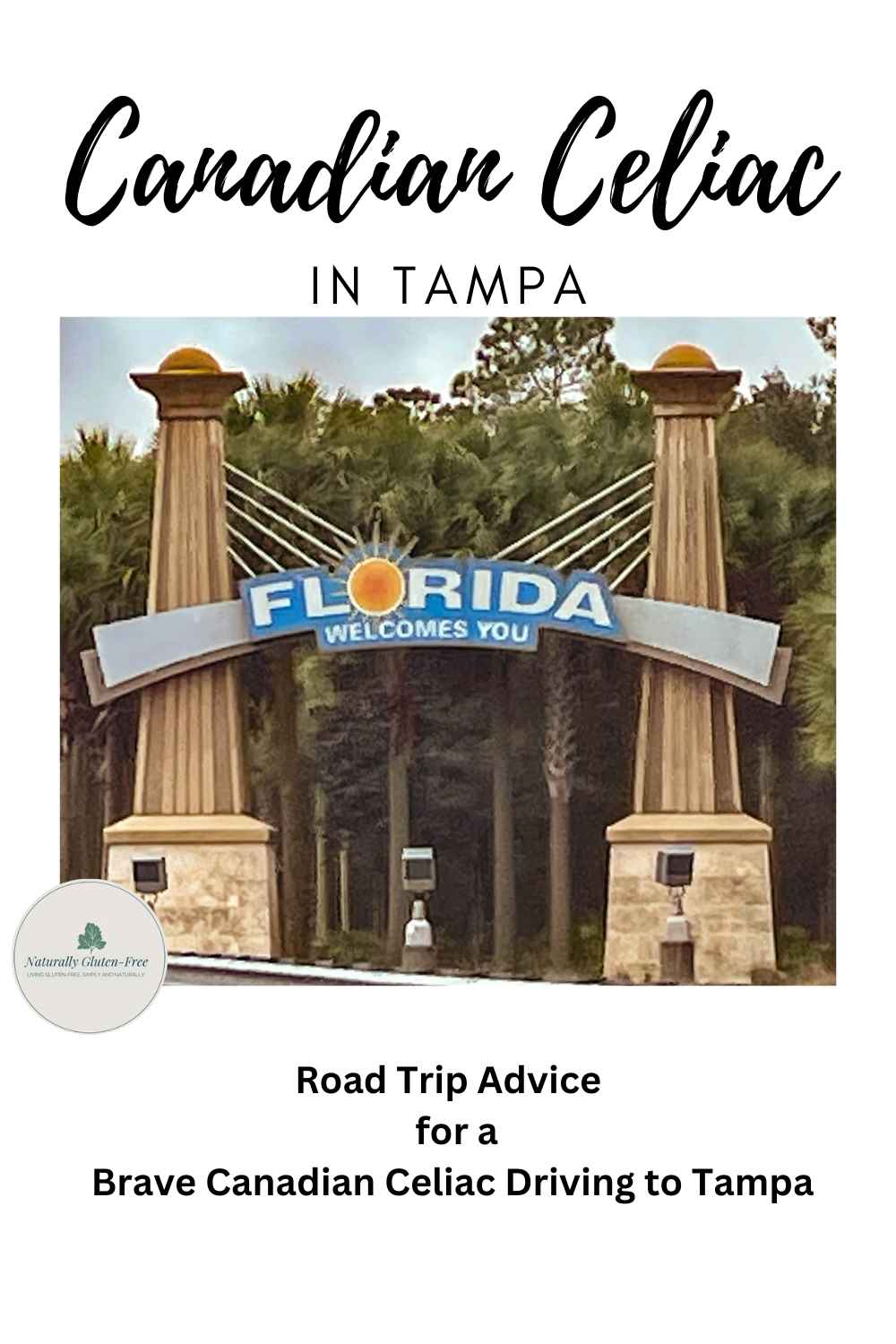 Driving to Tampa pinterest image showing Florida Welcomes you highway sign.