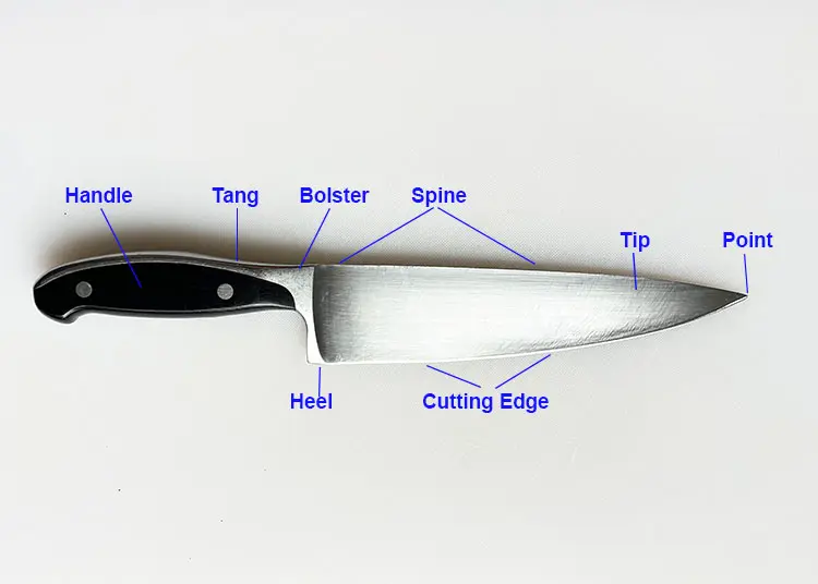 chef's knife with the parts labelled: handle, tang, bolster, spine, tip, point, cutting edge, heal. chef's knife with the parts labelled: handle, tang, bolster, spine, tip, point, cutting edge, heal.