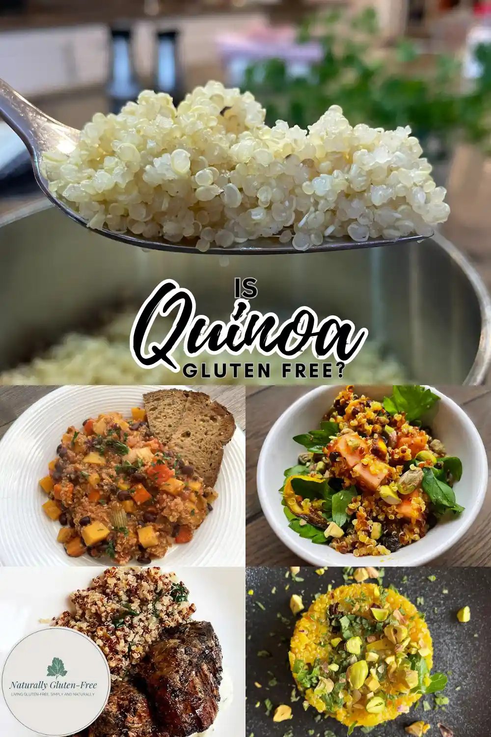 Pin Image - plain cooked quinoa on a fork, with 4 quinoa recipes and text "is quinoa gluten-free?"