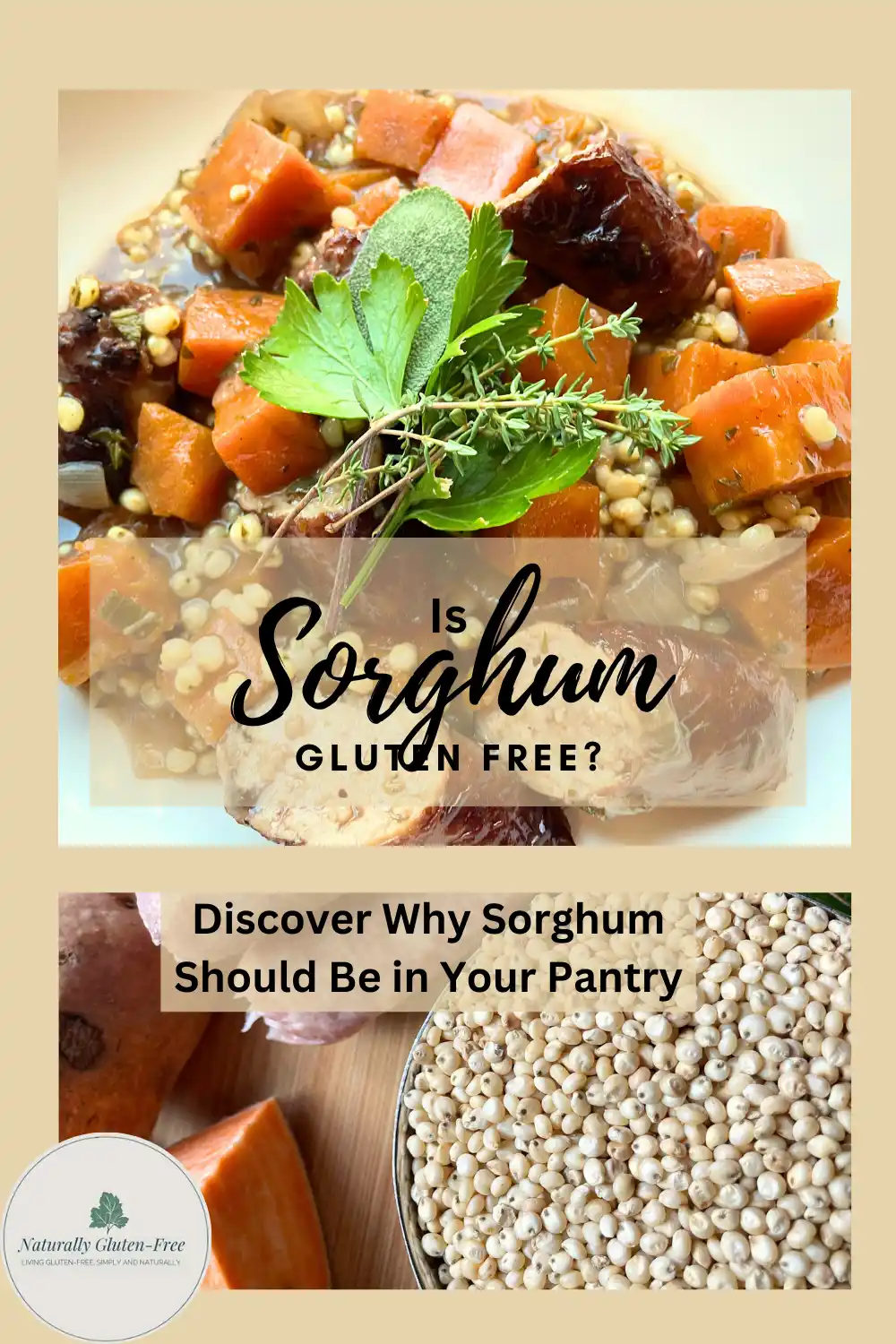 Pin Image - Sorghum in braised sausages and raw grain.  Text says Is Sorghum Gluten Free? Discover why you need sorghum in you pantry Pin Image - Sorghum in braised sausages and raw grain.  Text says Is Sorghum Gluten Free? Discover why you need sorghum in you pantry