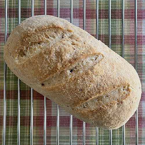 Finished loaf of gluten free bread on cooling rack Finished loaf of gluten free bread on cooling rack