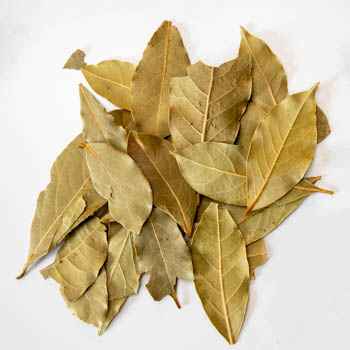 bay leaves on white background bay leaves on white background