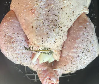 whole chicken stuffed trussed and seasoned