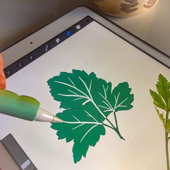 apple pencil on ipad designing NGF logo apple pencil on ipad designing NGF logo