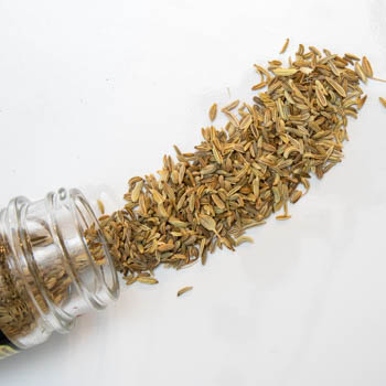 fennel seeds spilled from jar on white background fennel seeds spilled from jar on white background