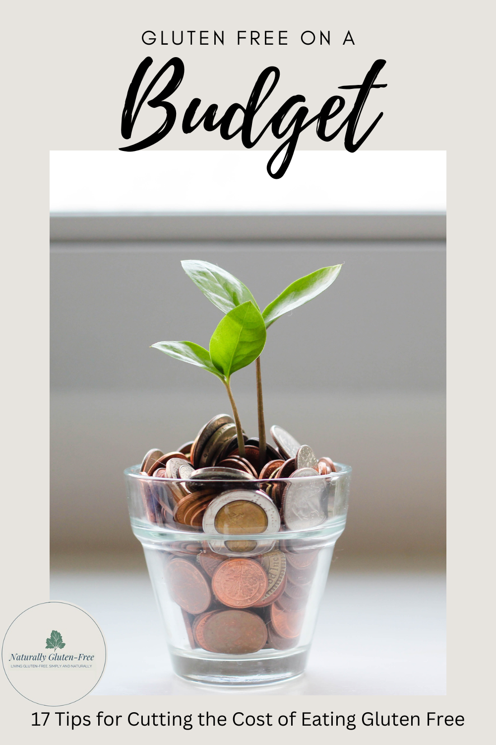 Limited Time Understand How Your Taxes Fund Gluten Free Foods - zpln090