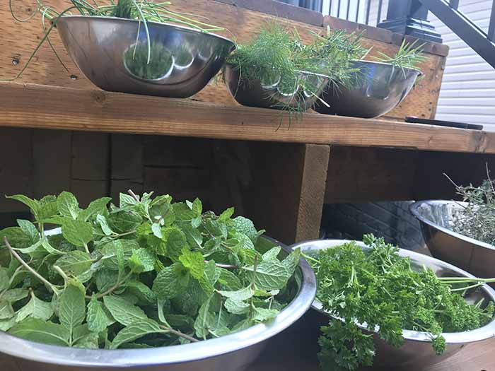 fresh herbs in bowls on stairs fresh herbs in bowls on stairs