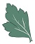 leaf-50-1.jpg leaf-50-1.jpg