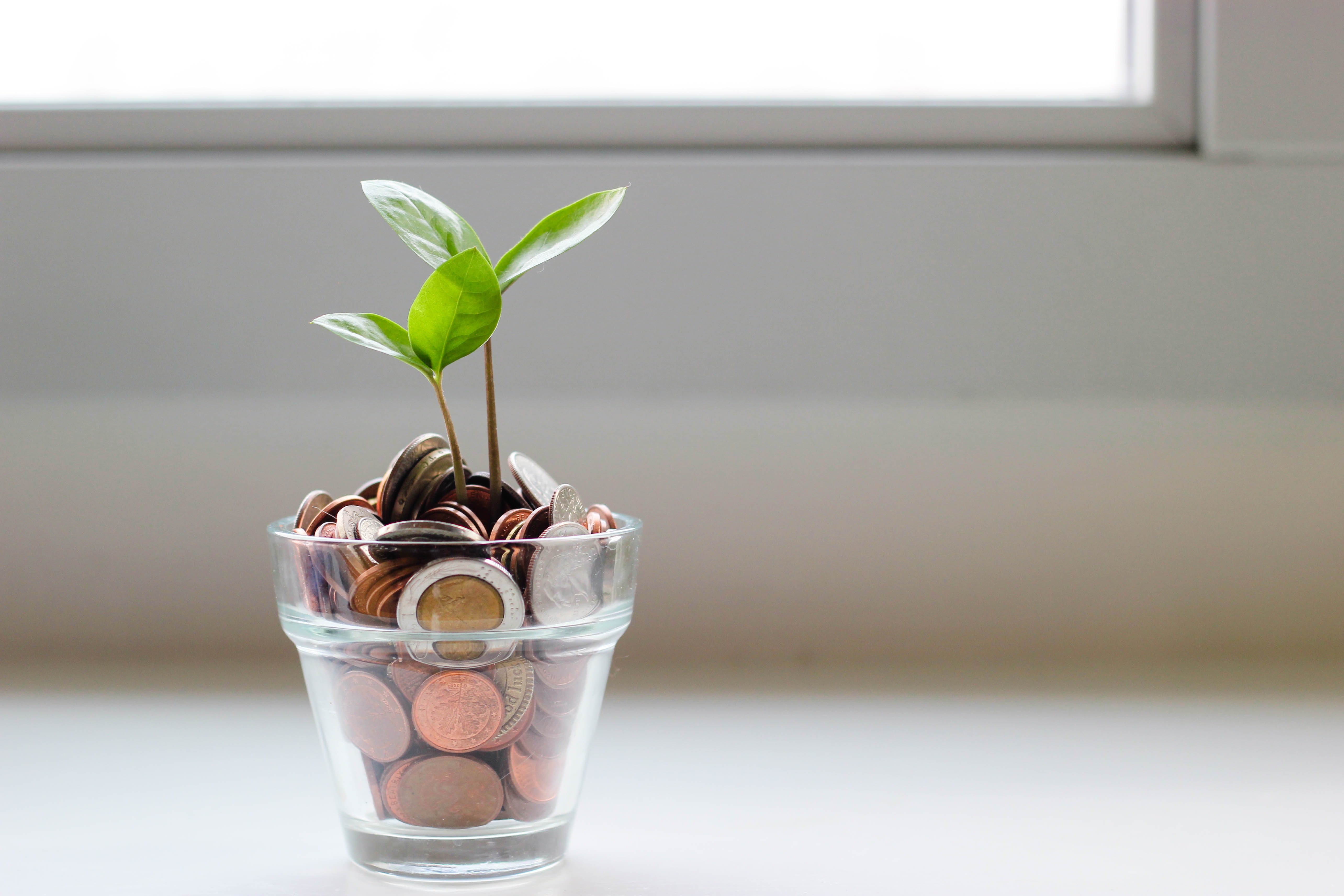 Photo by Micheile Henderson on Unsplash.  Coins in clear glass with a green sprout. Photo by Micheile Henderson on Unsplash.  Coins in clear glass with a green sprout.