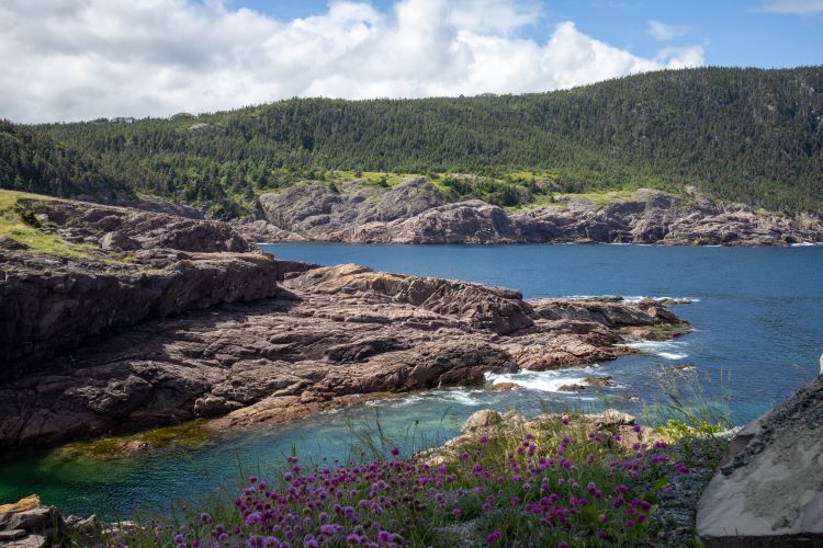 view from middle cove Newfoundland