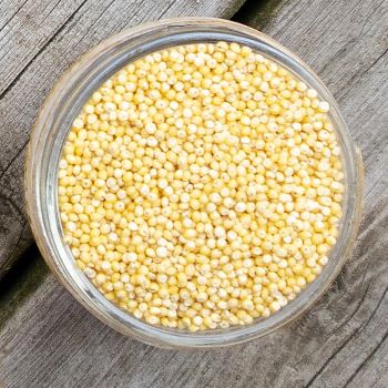 millet in a jar on a rustic background millet in a jar on a rustic background