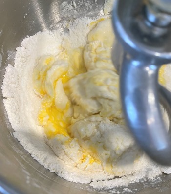 mixing wet and dry ingredients in stand mixer with dough hook