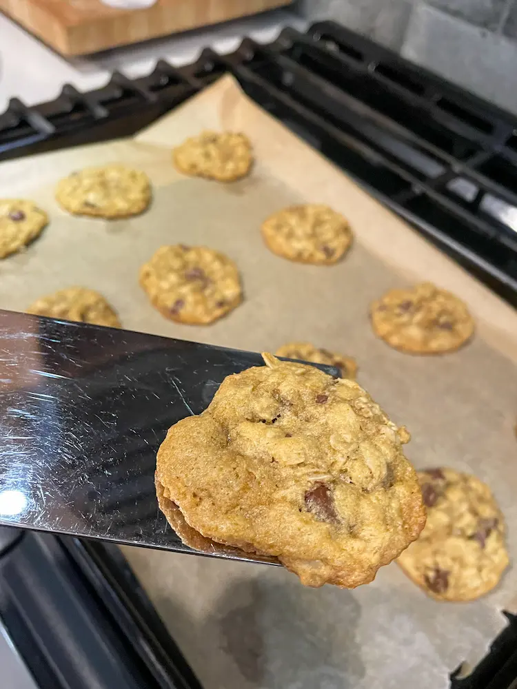 gluten free oatmeal chocolate chip cookies baked on pan with one cookie lifted gluten free oatmeal chocolate chip cookies baked on pan with one cookie lifted