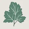 NGF parsley leaf logo NGF parsley leaf logo