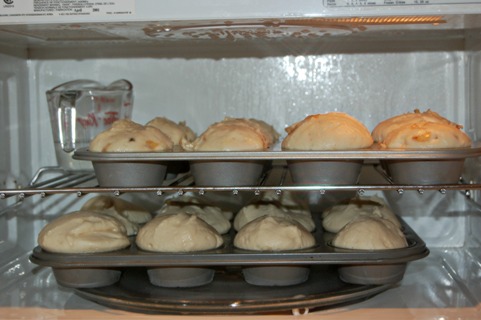 gluten free rolls proofing in humid microwave