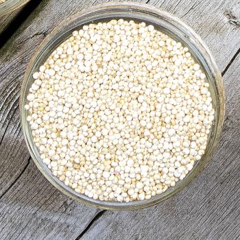 quinoa in a jar on a rustic background quinoa in a jar on a rustic background