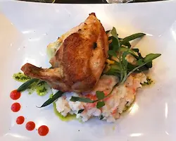 chicken supreme restaurant style on white plate