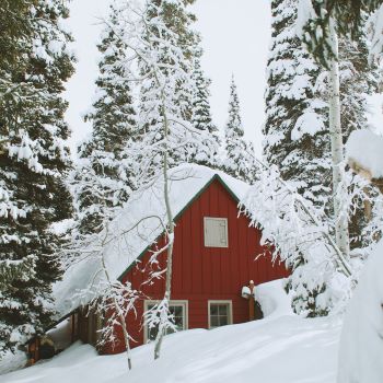 House covered in snow with evergreens