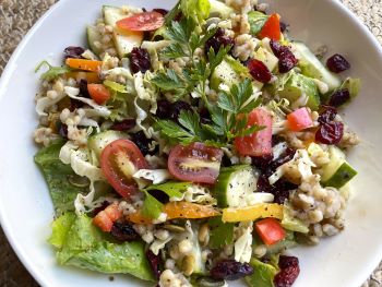 green salad with sorghum, dried cranberries, pumpkin seed and parsley green salad with sorghum, dried cranberries, pumpkin seed and parsley