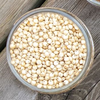 sorghum in a jar on a rustic background