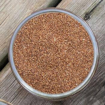 teff in a jar on a rustic background teff in a jar on a rustic background