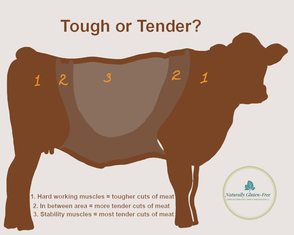 drawing of a cow outlining areas where more and less tender cuts come from. drawing of a cow outlining areas where more and less tender cuts come from.