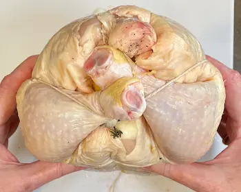 trussed chicken bottom view
