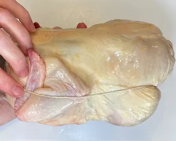 trussed chicken side view