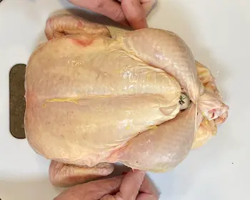 whole chicken being trussed