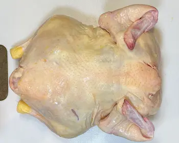 whole chicken with wings tucked behind