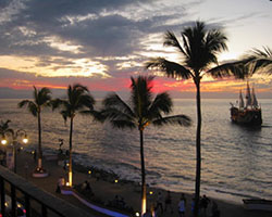 line of palm trees at ocean's edge