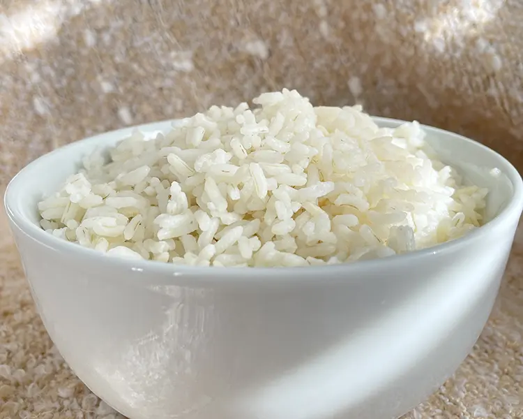 cooked white rice in a white bowl cooked white rice in a white bowl